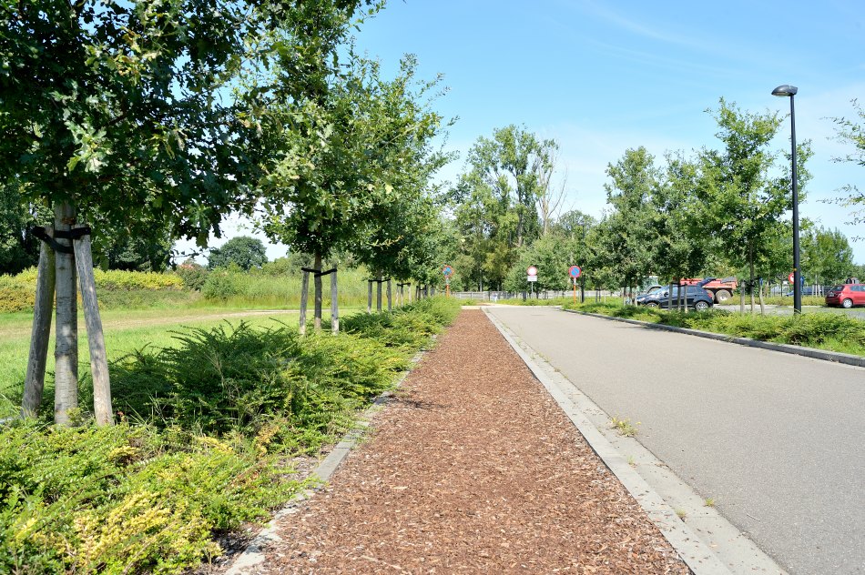 Rotselaar Sportoase landscaping